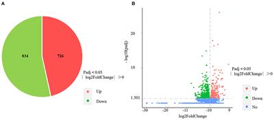 RNA-Sequencing Analysis of the Spleen and Gill of Takifugu rubripes in Response to Vibrio harveyi Infection